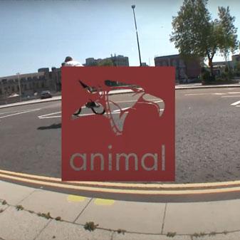 ANIMAL BIKES: EMERSON MORGAN VIDEO
